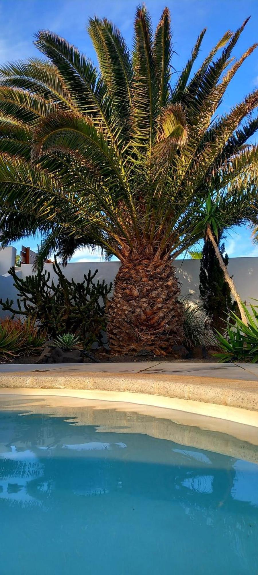 Casa Alizee, Heated Pool, Hot Tub Villa Playa Blanca  Exterior foto